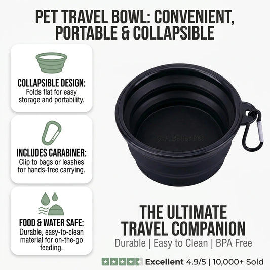 Pet Travel Bowl