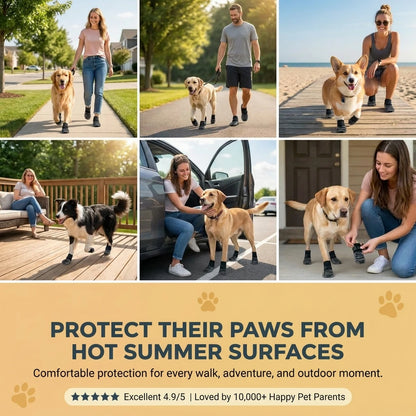 Premium Non-Slip Dog Socks