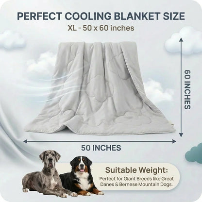 Washable Dog Cooling Throw Blanket (Small / Medium / Large / Extra Large)