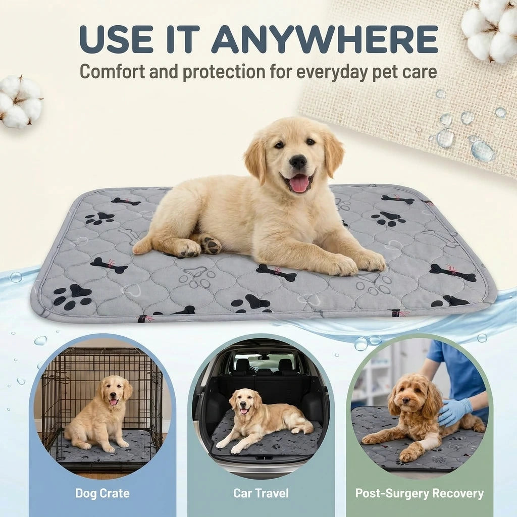 Washable Dog Pee Pads (Small / Medium / Large)