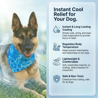 Dog Cooling Bandana (Small / Medium / Large / Extra Large) (Pre-order)