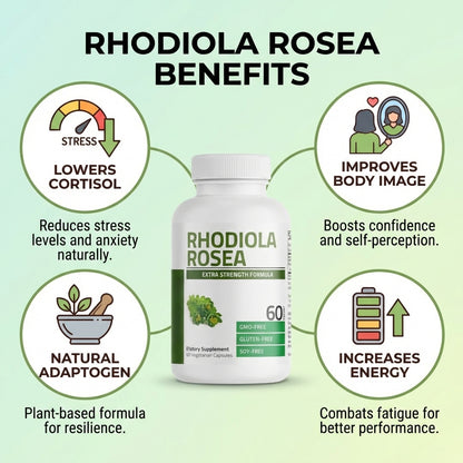 Rhodiola Rosea Supplement - 60 Capsules